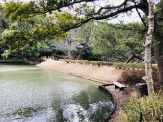 四ツ池公園