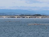 はまゆう大橋