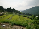 Oguriyasu Terraced Rice-Fields