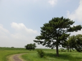 Tenryu River Floodway (Hamakita 1)