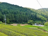 Hinokizore Terraced Rice-Fields