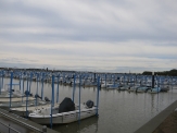 Ubumi Public Marina