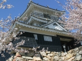 Hamamatsu Castle