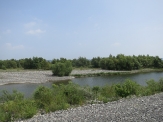 Tenryu River Floodway (Hamakita 2)