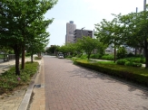 Road South of the Shizuoka University of Art and Culture