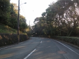 A road on the sanitary plant premises