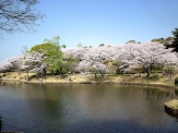 Hamamatsu Flower Park