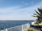 Nakanoshima Along the Lake Hamana Bridge