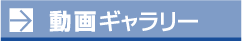 動画ギャラリー