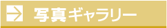 写真ギャラリー