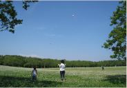 芝生広場（広大なオープンスペース）