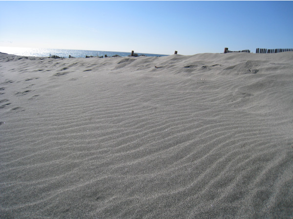 ロケ地は浜松。中田島砂丘の海と砂丘の写真04