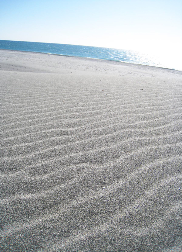 ロケ地は浜松。中田島砂丘の風紋写真01