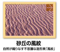 自然が織りなす不思議な造形美「風紋」砂丘の風紋